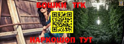 spice Гатчина