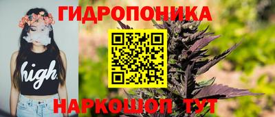 spice Гатчина
