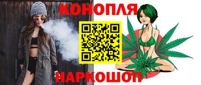 spice Гатчина