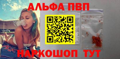 spice Гатчина