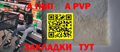 ешки Гай