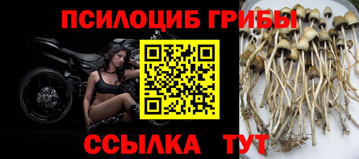 Галлюциногенные грибы мухоморы Гусь-Хрустальный