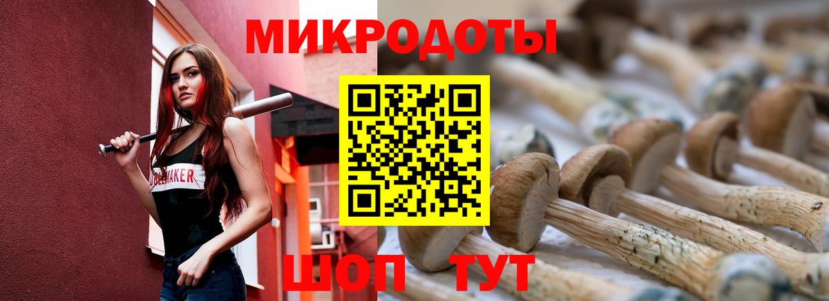 Галлюциногенные грибы Psilocybe  закладка  Гусь-Хрустальный  Галлюциногенные грибы мицелий  Вход с VPN 