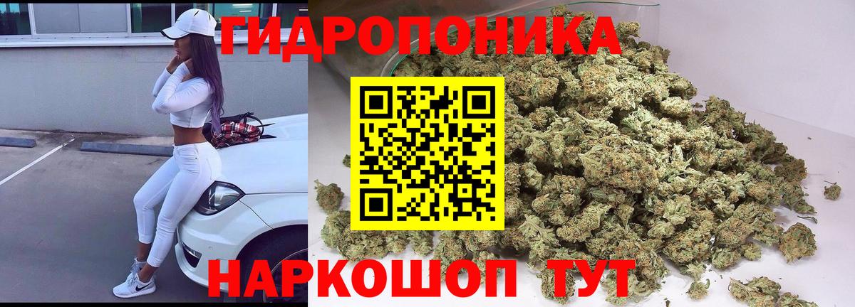 Бошки марихуана план  Бошки марихуана марихуана  Вход с VPN  Гусь-Хрустальный 